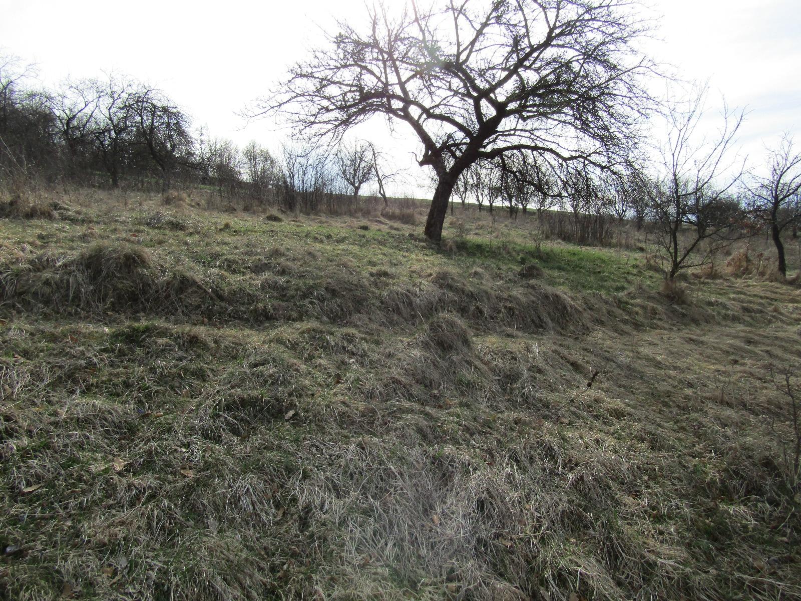 Teren de vânzare Exterior Sud - 25177TV | BLITZ Cluj-Napoca | Poza5