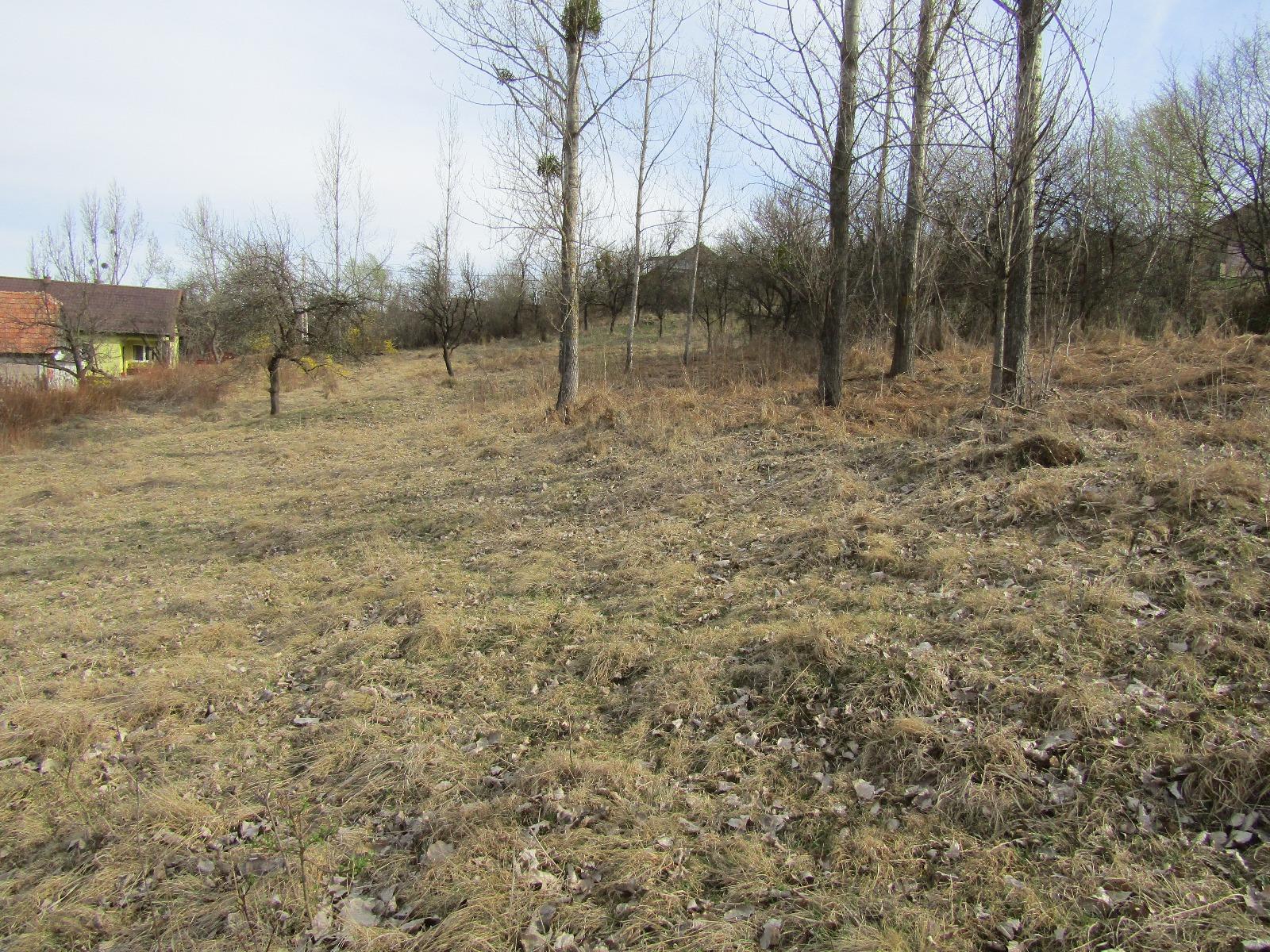 Teren de vânzare Exterior Sud - 25177TV | BLITZ Cluj-Napoca | Poza6