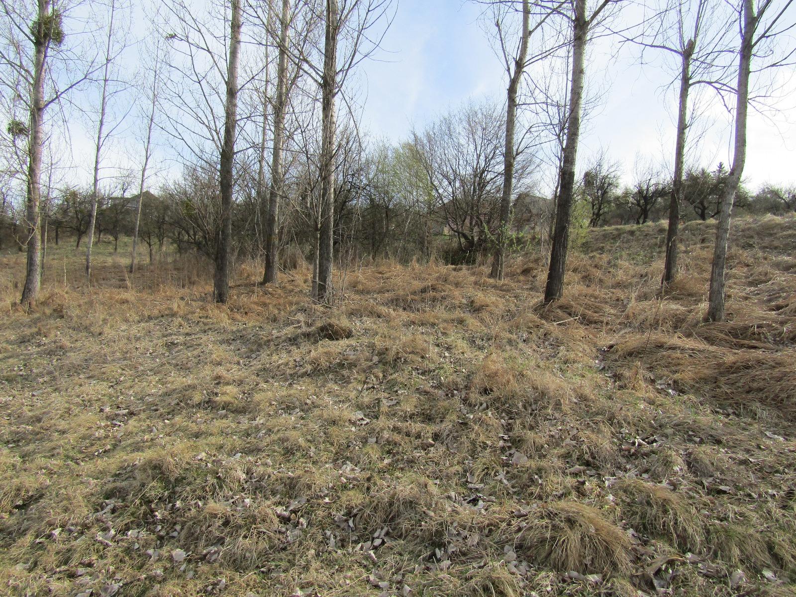 Teren de vânzare Exterior Sud - 25177TV | BLITZ Cluj-Napoca | Poza7