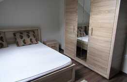 Apartament 2 camere, 60 mp, decomandat, mobilat modern, zona Facultatii de Business