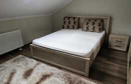 Apartament 2 camere, 60 mp, decomandat, mobilat modern, zona Facultatii de Business