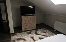 Apartament 2 camere, 60 mp, decomandat, mobilat modern, zona Facultatii de Business