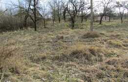 Teren intravilan, 660 mp, front 20 ml, zona linistita