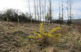 Teren intravilan, 660 mp, front 20 ml, zona linistita