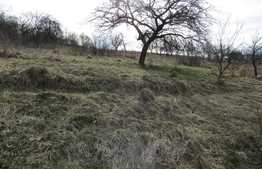 Teren intravilan, 660 mp, front 20 ml, zona linistita