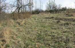 Teren intravilan, 660 mp, front 20 ml, zona linistita