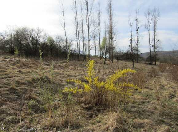 Teren de vânzare Exterior Sud - 25179TV | BLITZ Cluj-Napoca | Poza1