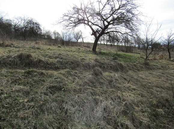 Teren de vânzare Exterior Sud - 25179TV | BLITZ Cluj-Napoca | Poza4