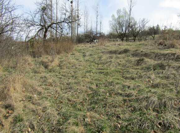 Teren de vânzare Exterior Sud - 25179TV | BLITZ Cluj-Napoca | Poza6