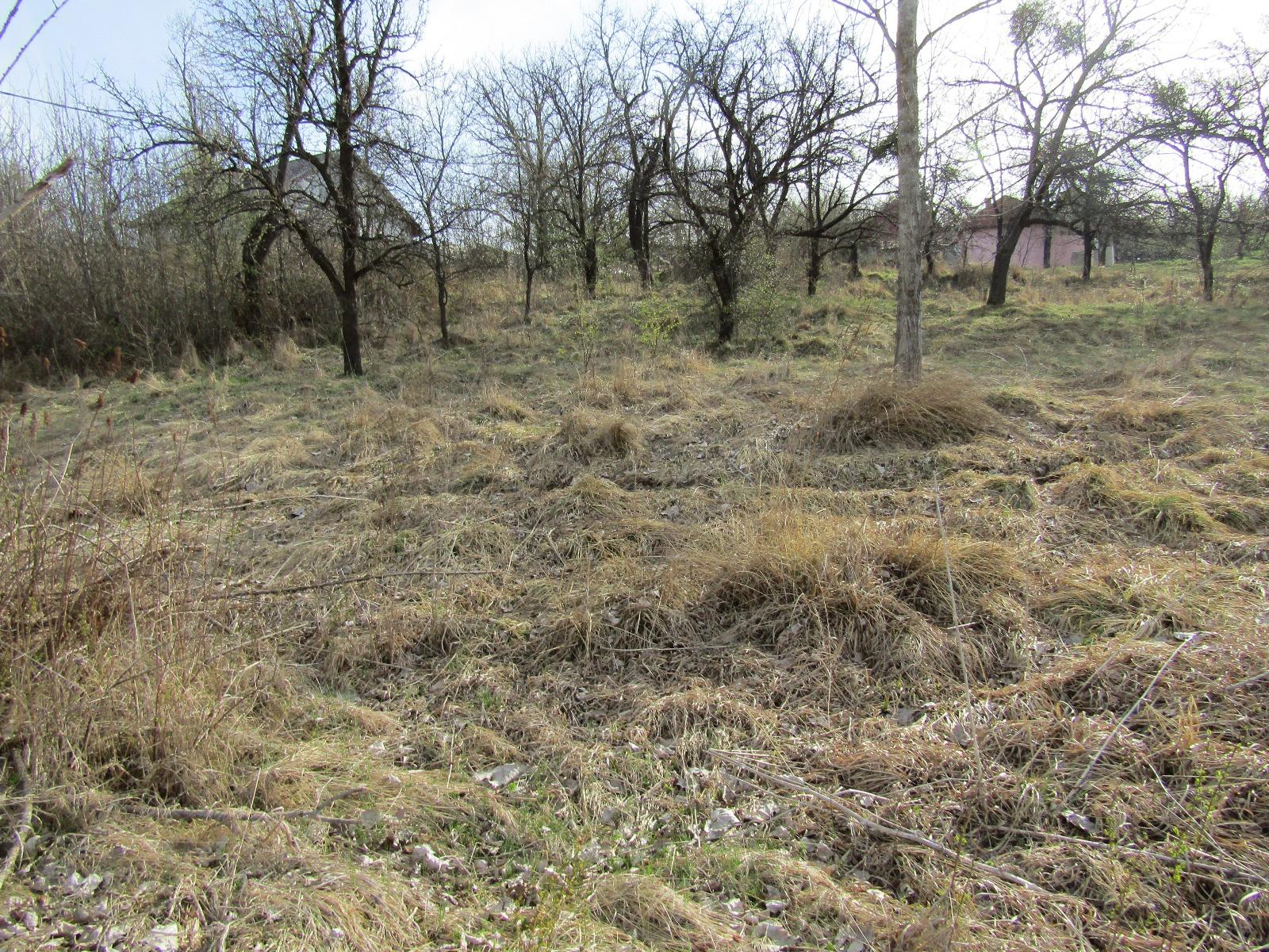 Teren de vânzare Exterior Sud - 25179TV | BLITZ Cluj-Napoca | Poza7