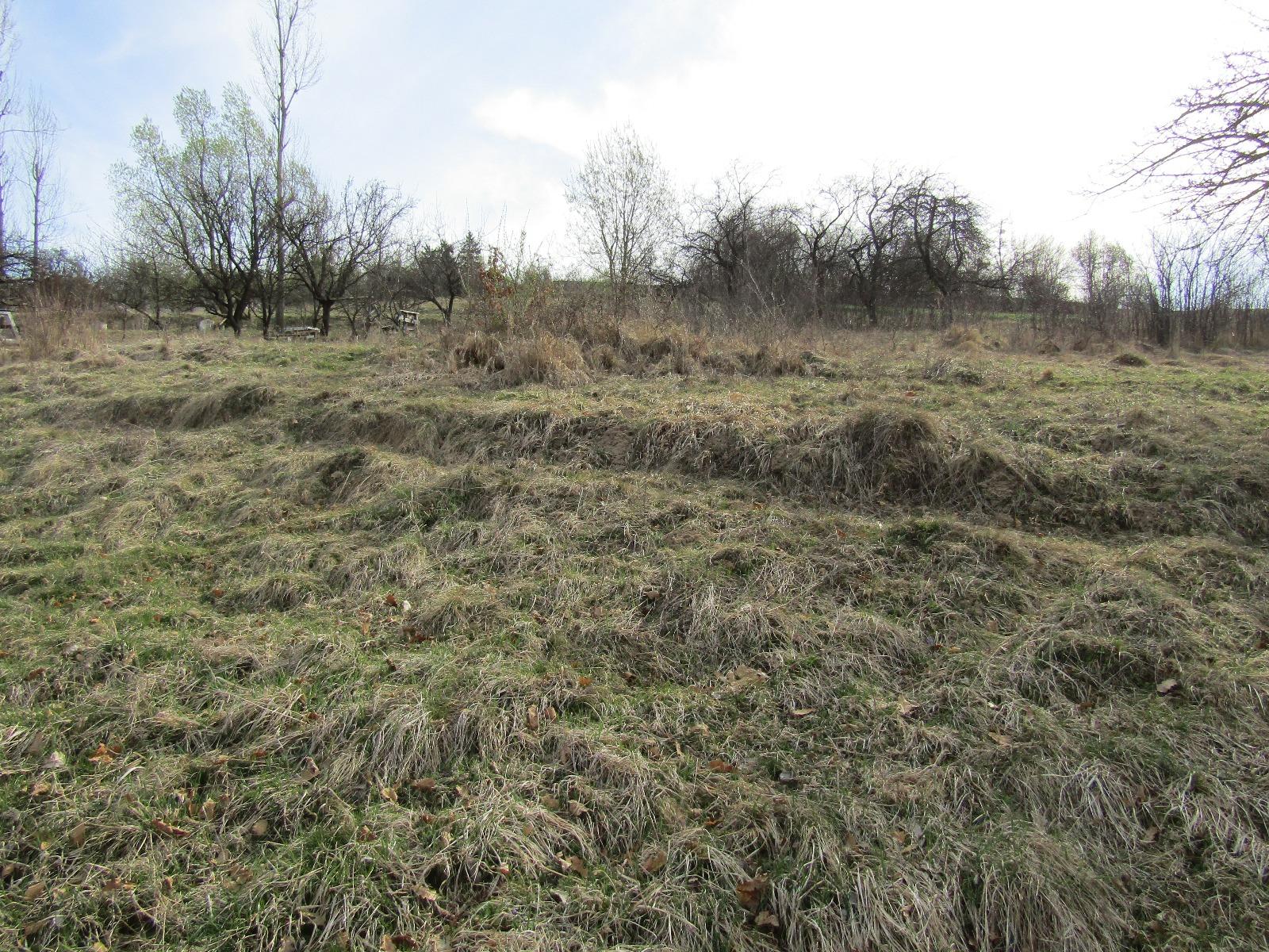 Teren de vânzare Exterior Sud - 25179TV | BLITZ Cluj-Napoca | Poza5