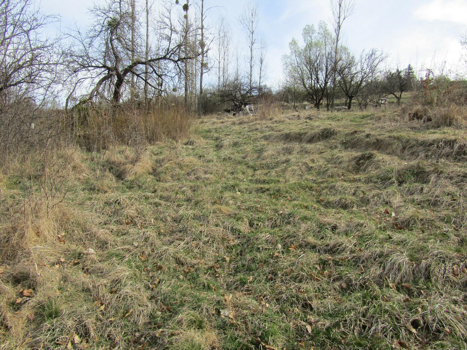 Teren de vânzare Exterior Sud - 25179TV | BLITZ Cluj-Napoca | Poza6