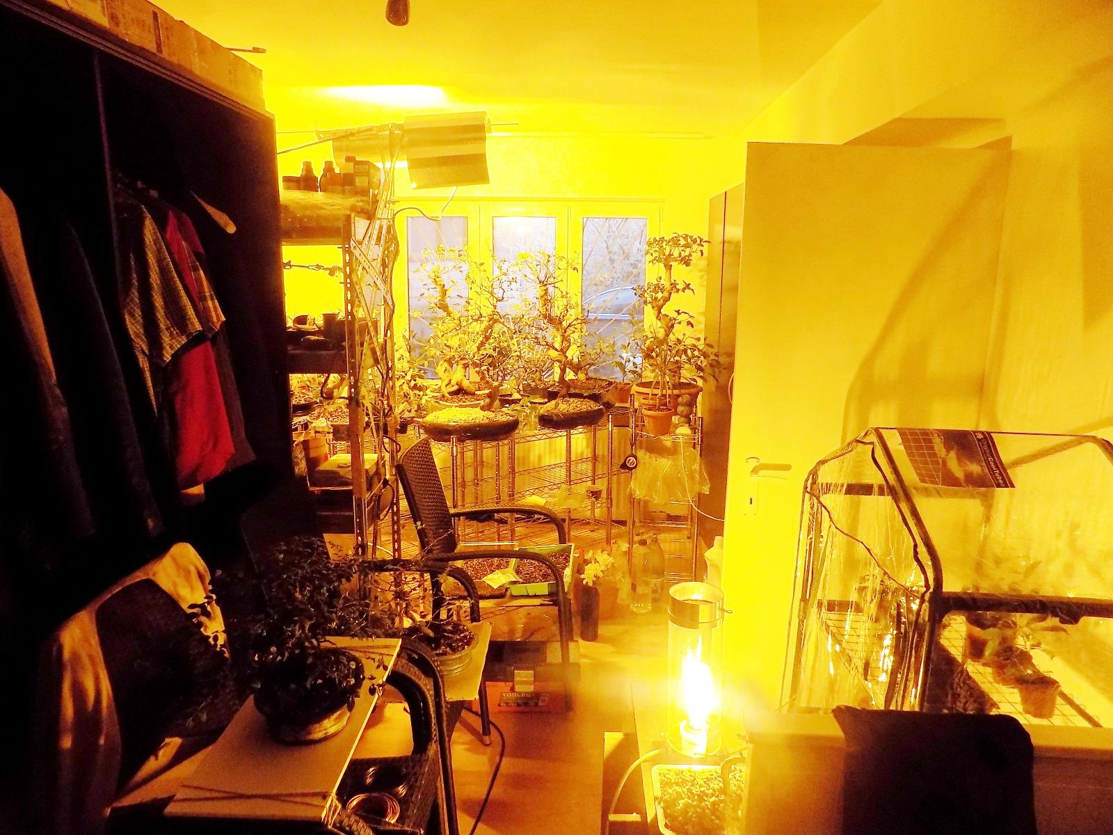 Apartament de vânzare 2 camere Gruia - 25235AV | BLITZ Cluj-Napoca | Poza3