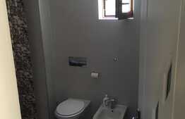 Apartament 2 camere, 68 mp, etaj intermediar, zona strazii Trifoiului