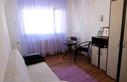 Garsoniera, 22 mp, zona Minerva