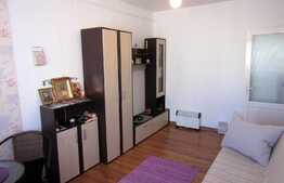 Garsoniera, 22 mp, zona Minerva