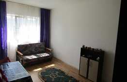 De vanzare garsoniera, 22 mp, etaj intermediar, zona Calea Baciului