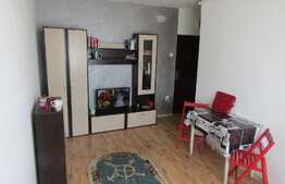 De vanzare garsoniera, 22 mp, etaj intermediar, zona Calea Baciului