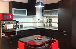 Apartament 2 camere,  parcare subterana, zona Viva City Iulius Mall