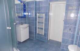 Apartament 2 camere, 53 mp, mobilat modern, zona strazii Emil Racovita