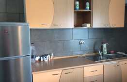 Apartament 2 camere, 40 mp, terasa 65 mp, zona strazii Calea Turzii