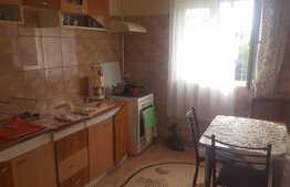 Apartament 2 camere, 46 mp, decomandat, etaj intermediar, zona Piata Marasti