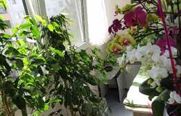 4 camere, 80 mp, decomandat, boxa la subsol, parcare, zona strazii Mehedinti