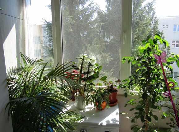 Apartament de vânzare 4 camere Manastur - 25288AV | BLITZ Cluj-Napoca | Poza14