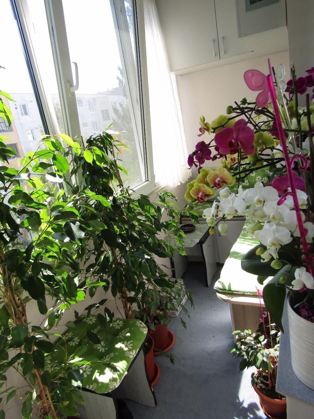 Apartament de vânzare 4 camere Manastur - 25288AV | BLITZ Cluj-Napoca | Poza13