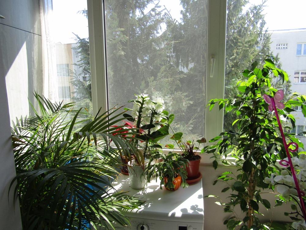 Apartament de vânzare 4 camere Manastur - 25288AV | BLITZ Cluj-Napoca | Poza14