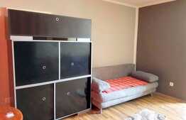 1 camera, 30 mp, mobilat modern, zona strazii Bucegi