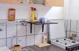 1 camera, 30 mp, mobilat modern, zona strazii Bucegi