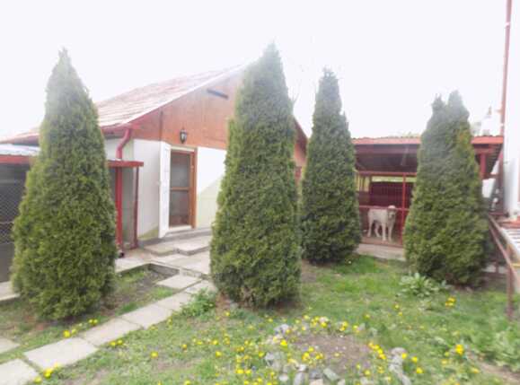 Casa de vânzare 4 camere Dambul Rotund - 25297CV | BLITZ Cluj-Napoca | Poza17