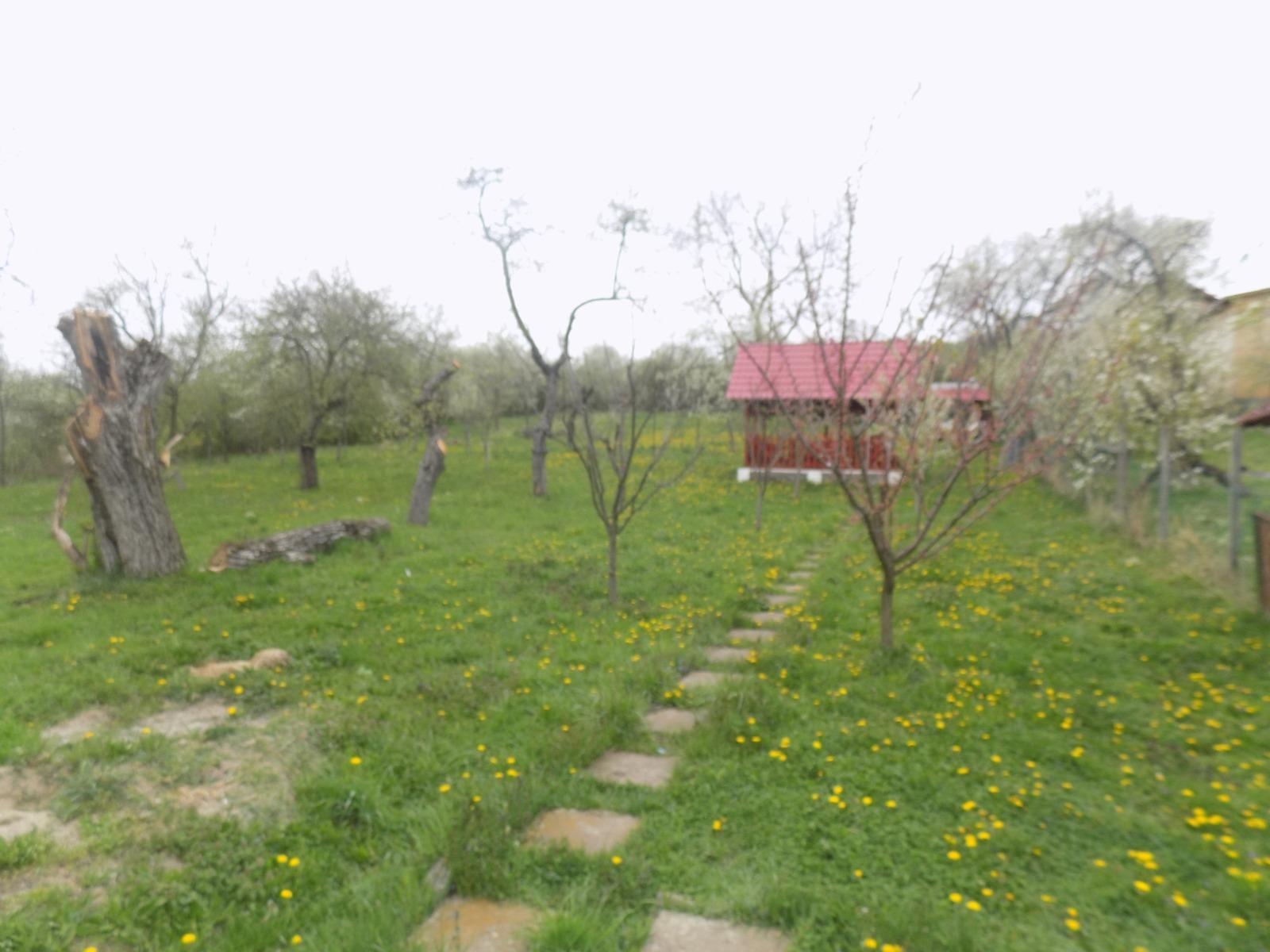 Casa de vânzare 4 camere Dambul Rotund - 25297CV | BLITZ Cluj-Napoca | Poza18