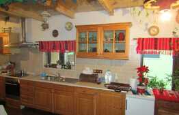 Casa individuala, 94 mp utili, 1893 mp teren, zona linistita