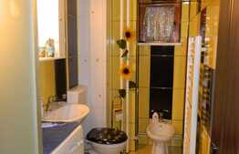 Apartament 3 camere, 65 mp, etaj intermediar, zona Expo Transilvania