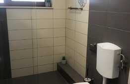 Casa 4 camere, 140 mp, gradina 250 mp, garaj, zona Eugen Ionesco
