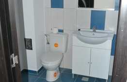 Apartament de vanzare 2 camere, 52 mp! Zona strazii Teilor!