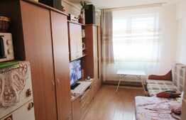 Garsoniera 19 mp, etaj intermediar, zona Auchan