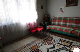 Casa de vanzare, 222 mp utili, 1504 mp teren, zona linistita de case