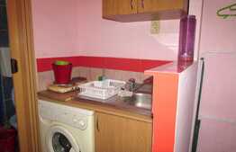 Garsoniera, 24 mp, decomandata zona Piata Mihai Viteazu