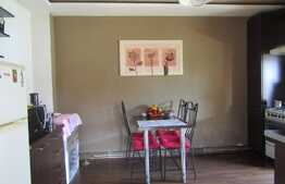 Casa cuplata, 50,4 mp utili, teren de 265 mp, zona linistita