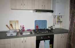 Apartament 2 camere, 50 mp, terasa , zona Selgros