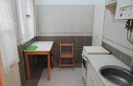 De vanzare garsoniera 24 mp, parcare, zona centrala