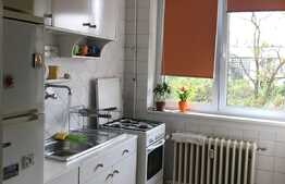 Apartament 2 camere, 60 mp, recent renovat, zona Iulius Mall