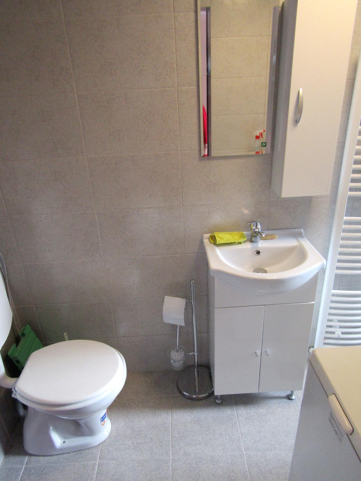 Garsonieră de închiriat Someseni - 25419AI | BLITZ Cluj-Napoca | Poza6