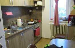 Apartament de vanzare, 2 camere, 45 mp, zona Iulius Mall. La cheie!
