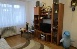 Apartament de vanzare, 2 camere, 45 mp, zona Iulius Mall. La cheie!
