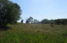 Teren intravilan, 5351 mp, front de 44,5 ml, zona linistita