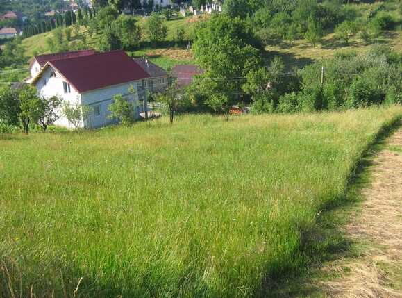 Teren de vânzare Exterior Sud - 25429TV | BLITZ Cluj-Napoca | Poza3